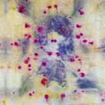 Estampación de textiles con recursos naturales