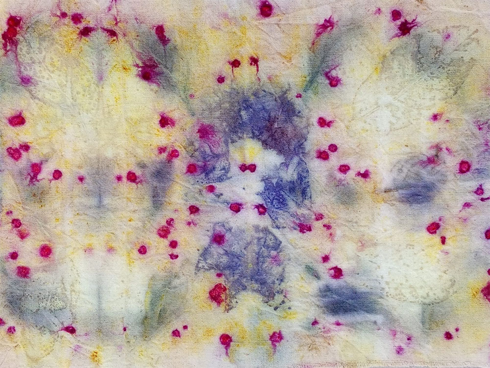 estampados 4