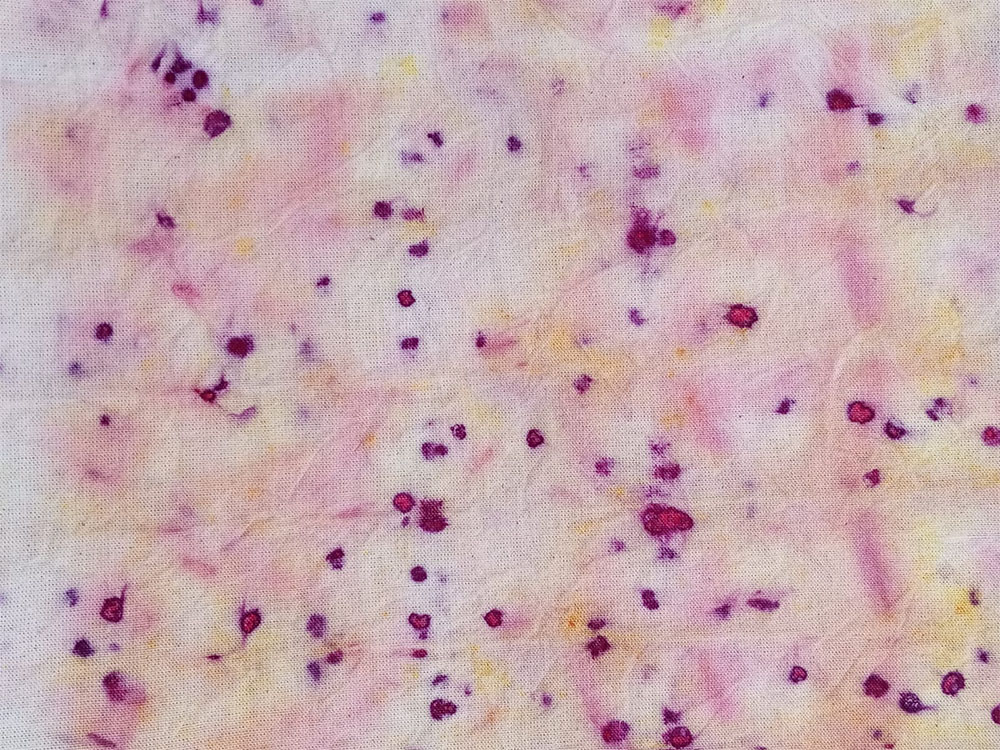 estampados 6