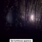 Archivo Negro. Nunca estamos solos